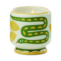 Paddywax - ADOPO SERAMİK KUTULU MUM YILAN-WILD LEMONGRASS 226 gr.- ADOPO SNAKE CERAMIC CANDLE WILD LEMONGRASS BOXED