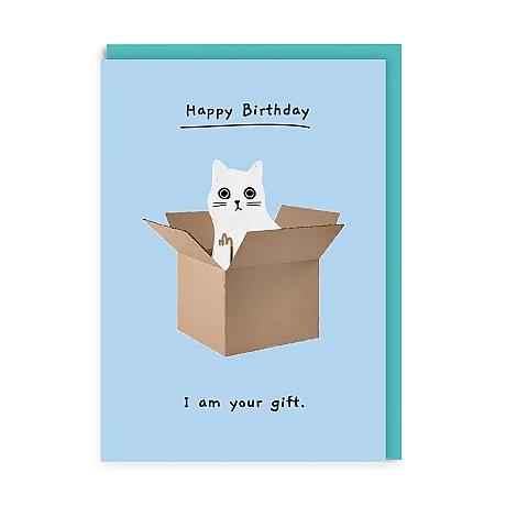 CAT IN A BOX - 1