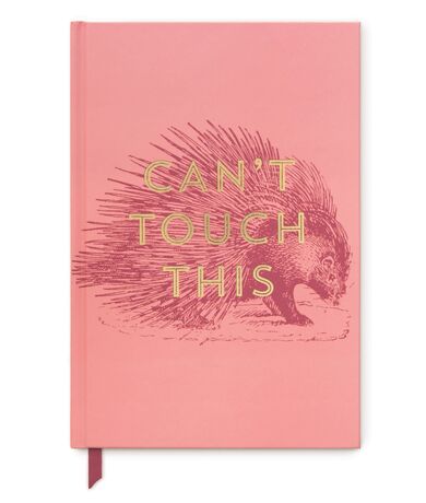 CİLTLİ GÜNLÜK 21,6x14,61 cm. - VINTAGE SASS HARDCOVER JOURNAL CAN'T TOUCH THIS