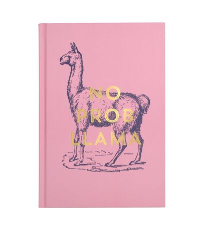 CİLTLİ GÜNLÜK 21,6x14,61 cm. - VINTAGE SASS HARDCOVER JOURNAL NO PROB LAMA