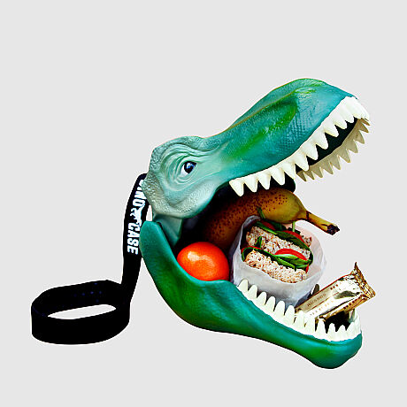 DİNOZOR YEMEK ÇANTASI - DINOSAUR LUNCH BOX - 3