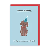 DOG YEARS
