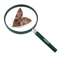 Carson - EKSTRA BÜYÜK ÇOCUK BÜYÜTECİ - BIGEYE™ 2X MAGNIFICATİON OVERSIZED MAGNIFYING GLASS