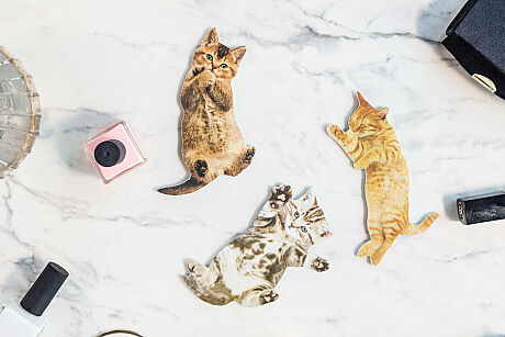 KEDİ TÖRPÜ - CAT NAIL FILES - 2