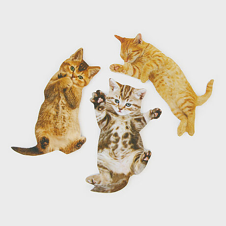 KEDİ TÖRPÜ - CAT NAIL FILES - 6