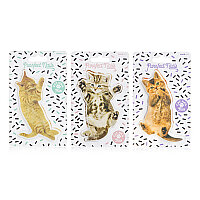 KEDİ TÖRPÜ - CAT NAIL FILES