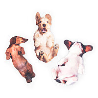 KÖPEK TÖRPÜ - DOG NAIL FILES (3 FARKLI ÇEŞİT) - 3