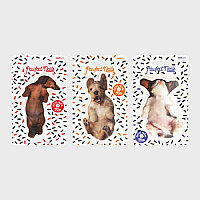 KÖPEK TÖRPÜ - DOG NAIL FILES (3 FARKLI ÇEŞİT) 