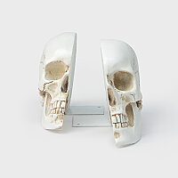 KURUKAFA KİTAP TUTACAĞI - SKULL BOOKENDS - 1