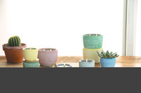 PADDYWAX SONORA DESENLİ BETON MUM - SONORA 10 oz. YELLOW CONCRETE CANDLE FRESH LEMON - Thumbnail
