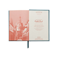 SÜET DEFTER MEXIC0 21,5X14,5 cm. - SUEDETTE HARDCOVER JOURNAL MEXICO - Thumbnail