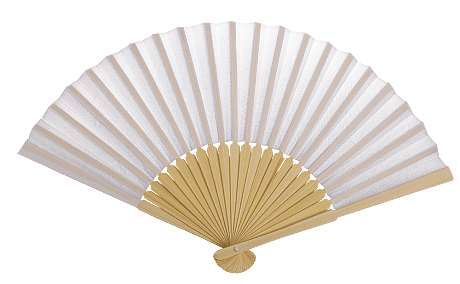 YELPAZE BAMBOO 21 cm. (8 FARKLI ÇEŞİT) - BAMBOO FAN (8 assorted) - 5